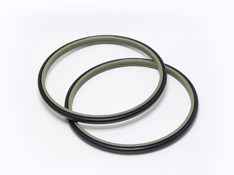 Dszl - Hydraulic Ptfe Dust Wiper Seals 