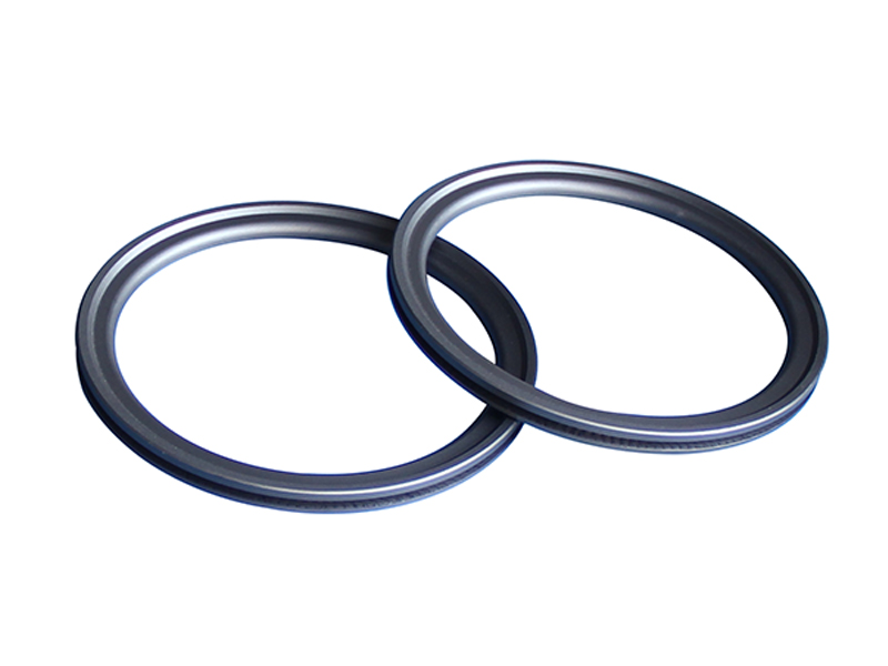 Ptd External Face Spring Energized Ptfe Seal Dsh Seals